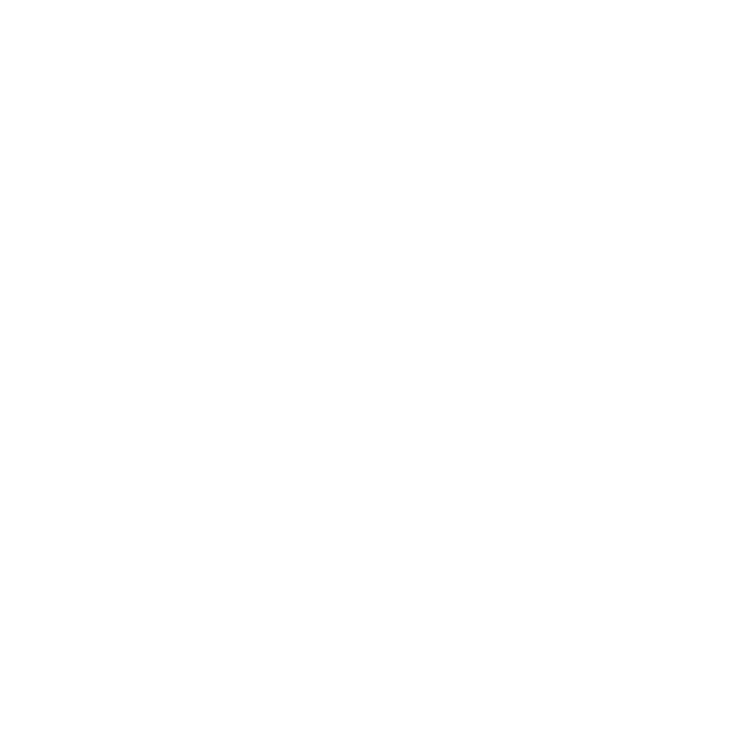 Pablo Denuit logo